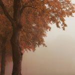 Future Trends in Gold IRA Investing