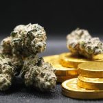The Top Gold IRA Companies for Your Retirement Plan
