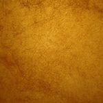 Insider Insights: Gold IRA Reviews from Expert Investors