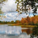 Choosing the Right Custodian for Your Gold IRA