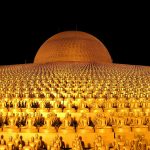 Customer Reviews of the Best Gold IRA Companies: Insights and Recommendations