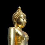 A Deep Dive into Customer Feedback on Gold IRA Companies