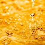 How to Set Up Your Own Gold IRA for Wealth Preservation