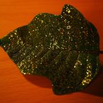 The Essential Guide to Choosing a Gold IRA Custodian