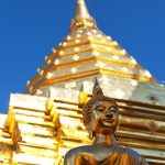 The Rise of Digital Gold: Cryptocurrency and Its Future