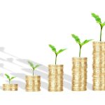 The Top Considerations for Selecting the Best Gold IRA