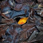 Gold in Modern Art: A Lustrous Exploration