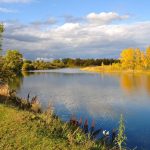 the role of the best gold IRA in diversifying your investment strategy