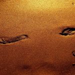 How Gold Mining Affects the Environment: A Closer Look