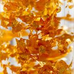 Top Strategies from the Best Gold IRA Companies to Secure Your Future