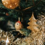 comparing fees and services of the best gold IRA companies available