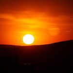 Insider Tips for Choosing the Most Reliable Gold IRA Companies