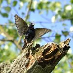 Unlocking Wealth: The Role of Gold in Investment Portfolios