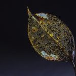 Gold Jewelry: A Timeless Investment and Fashion Statement