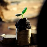 The Top Gold IRA Companies Reviewed: Making an Informed Decision