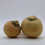 Side-by-Side Comparison of the Best Gold IRA Options Available