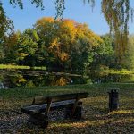 Enhancing Your Retirement Strategy with a Gold IRA