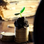 The Best Gold IRA: Top Features to Look For