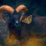 navigating the fees associated with the best gold IRA investments