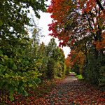 The Enduring Allure of Gold in Modern Society