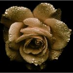 best gold IRA: A Comprehensive Guide to Choosing Your Investment